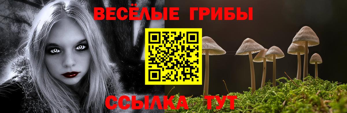 Галлюциногенные грибы MAGIC MUSHROOMS Мелеуз