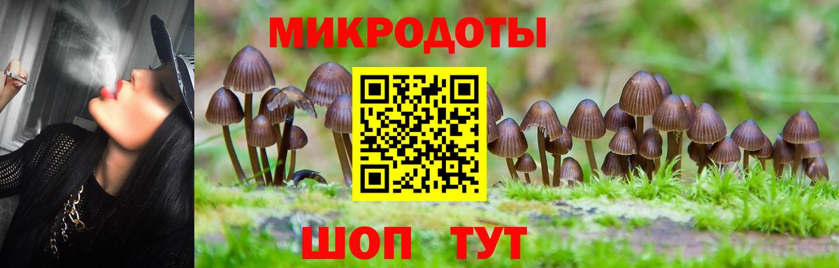 Мелеуз  Галлюциногенные грибы GOLDEN TEACHER  дарнет шоп  Вход с VPN 